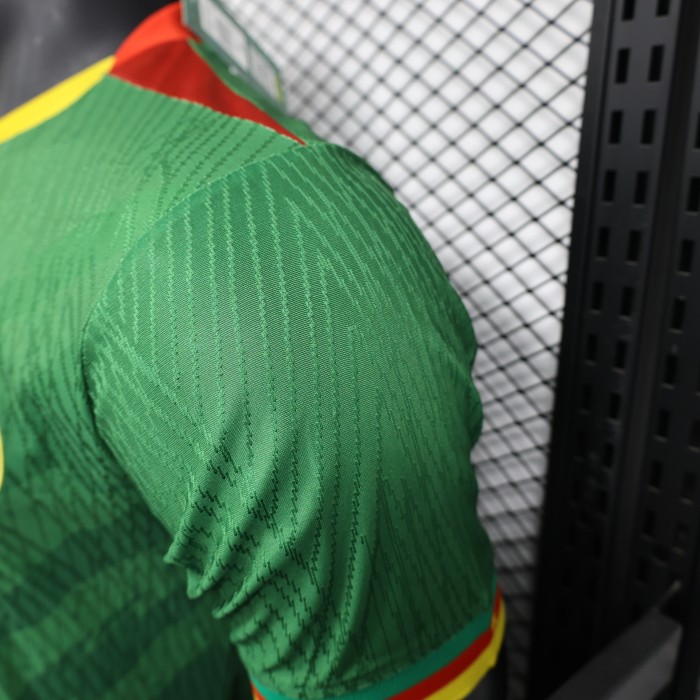 Player Version 2025 Cameroon Home Soccer Jersey Cameroun Football Shirt