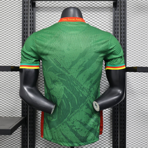 Player Version 2025 Cameroon Home Soccer Jersey Cameroun Football Shirt