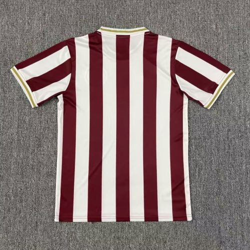 Fan Version 2025-2026 1. FC Nürnberg 125th Anniversary Soccer Jersey Football Shirt