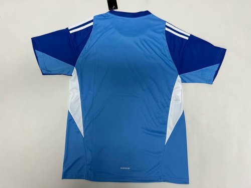 Fan Version 2025-2026 Austin Blue Goalkeeper Soccer Jersey Football Shirt