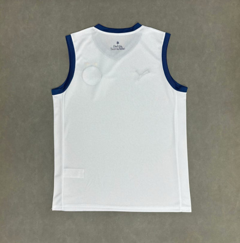 Fan Version 2025-2026 Bahia Home Soccer Vest Football Shirt