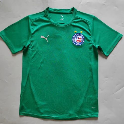 Fan Version 2025-2026 Bahia Green Goalkeeper Soccer Jersey Football Shirt