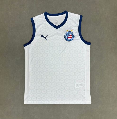 Fan Version 2025-2026 Bahia Home Soccer Vest Football Shirt