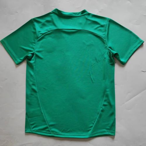 Fan Version 2025-2026 Bahia Green Goalkeeper Soccer Jersey Football Shirt