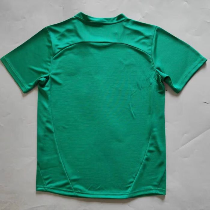 Fan Version 2025-2026 Bahia Green Goalkeeper Soccer Jersey Football Shirt