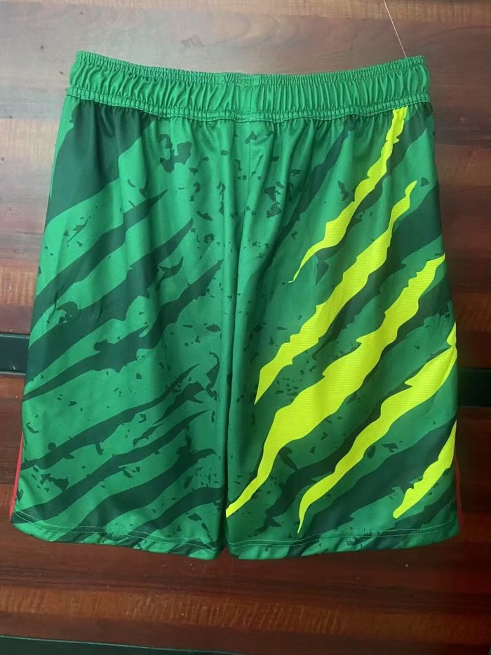 Fan Version 2025-2026 Cameroon Green Soccer Shorts Cameroun Football Shorts