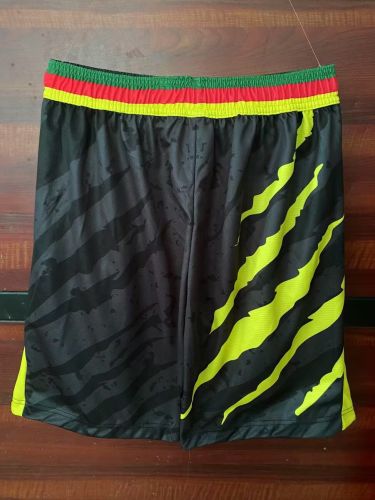 Fan Version 2025-2026 Cameroon Black Soccer Shorts Cameroun Football Shorts