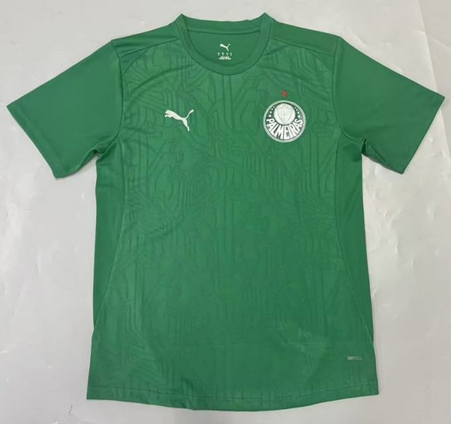 Fan Version 2025-2026 Palmeiras Green Soccer Jersey Football Shirt
