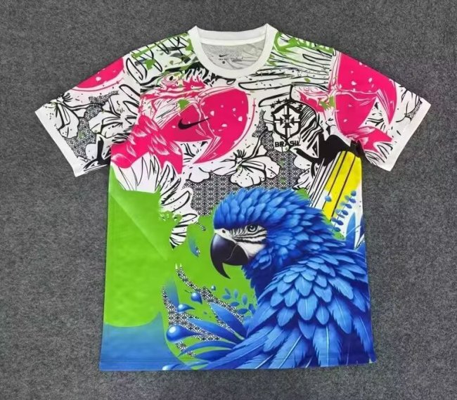 Fan Version 2025 Brazil Colorful Eagle Soccer Jersey Brasil Camisetas de Futbol