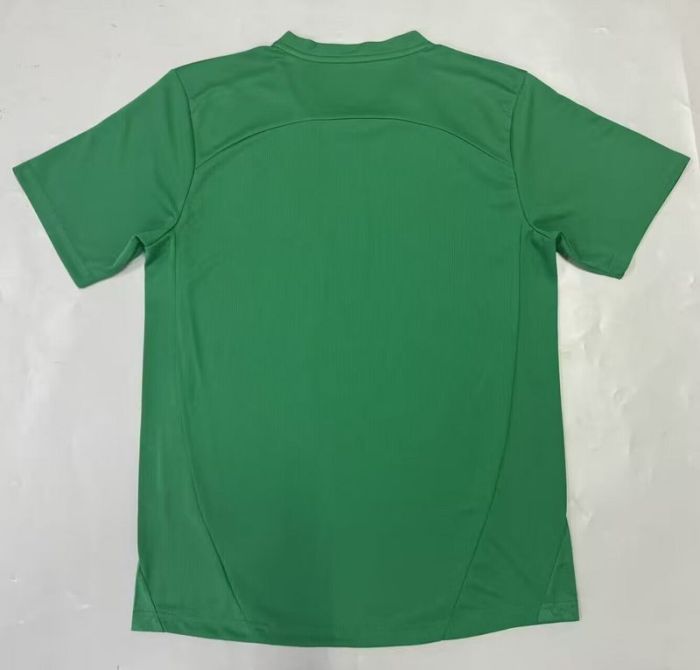 Fan Version 2025-2026 Palmeiras Green Soccer Jersey Football Shirt
