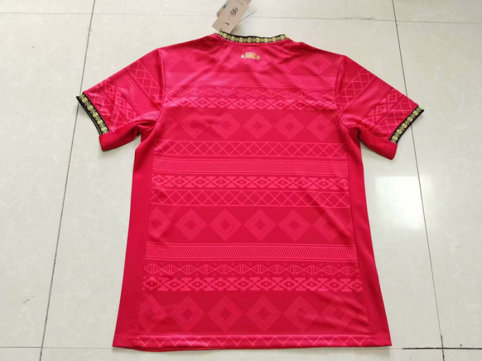 Fan Version 2025 Brazil Red Soccer Jersey Brasil Camisetas de Futbol