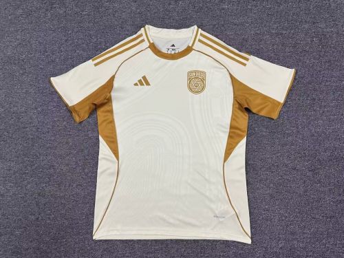 Fan Version 2025-2026 San Diego Soccer Pre-match Jersey Football Shirt