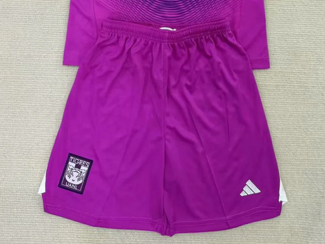 Fan Version 2025-2026 Tigres Purple Goalkeeper Soccer Shorts Football Shorts
