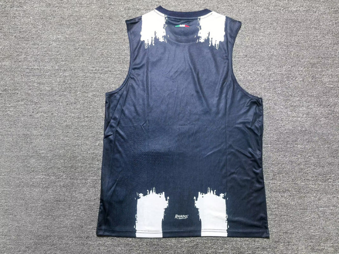 Fans Version 2025-2026 Monterrey Home Soccer Vest Menterrey Football Shirt