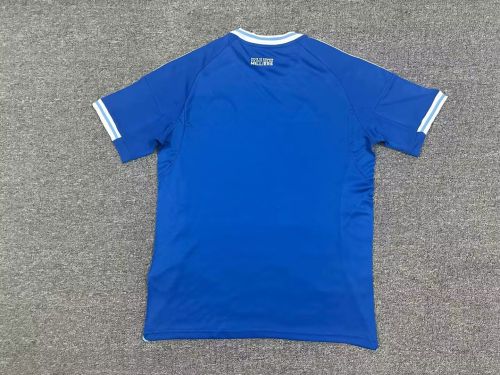 Fan Version 2025-2026 Strasbourg Alsace Home Soccer Jersey Football Shirt
