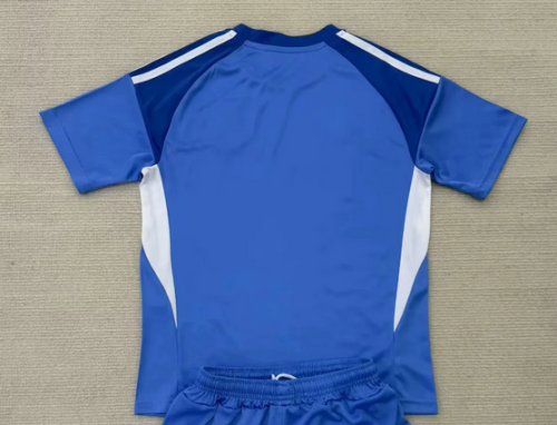 Fans Version 2025-2026 Aberdeen Blue Goalkeeper Soccer Jersey Football Shirt