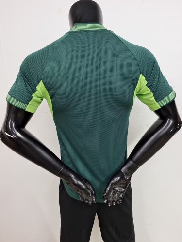 Player Version 2025 Algeria Green Soccer Jersey Football Shirt