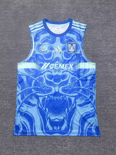 Fan Version 2025-2026 Tigres UANL Away Blue Soccer Vest Football Top