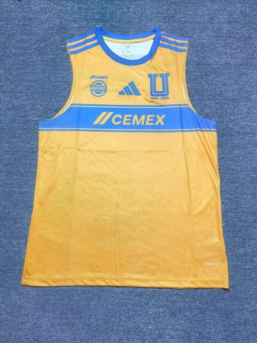 Fan Version 2025-2026 Tigres UANL Home Soccer Vest Football Top
