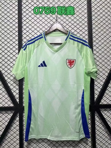 Fan Version Wales 2025 Away Soccer Jersey Yellow Football Shirt