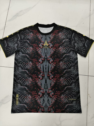 Fan Version 2025-2026 Paris Special Edition Soccer Jersey Football Maillot