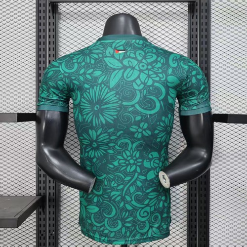 Player Version 2025 Palestine Green Soccer Jersey FC Palestina Football Shirt