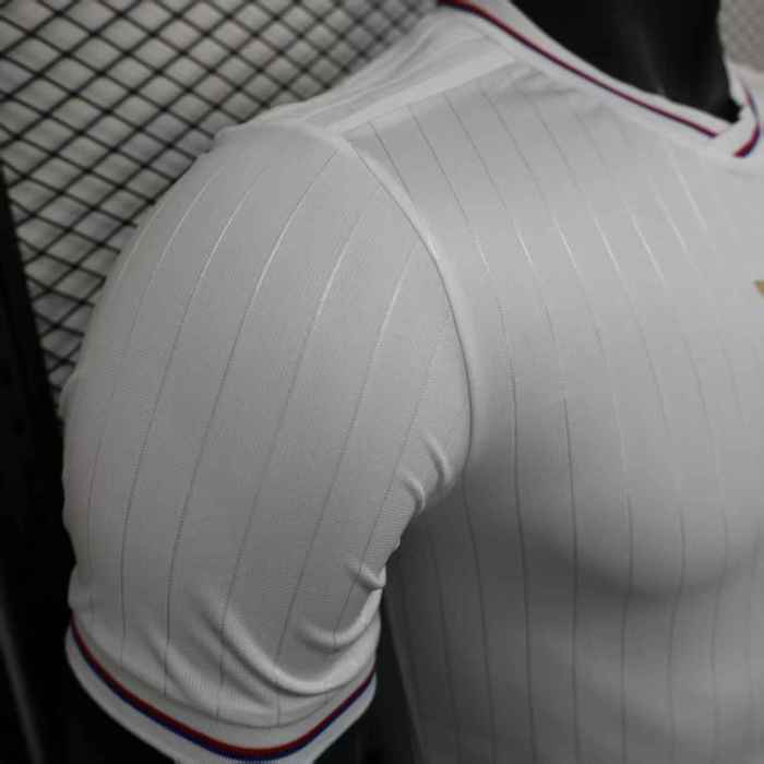 Player Version 2025-2026 Lyon 75th Anniversary Soccer Jersey Olympique Lyonnais Football Shirt