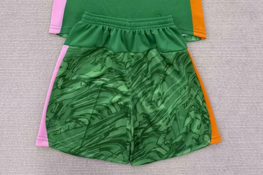 Fan Version 2025-2026 PSV Eindhoven Green Goalkeeper Soccer Shorts Football Shorts