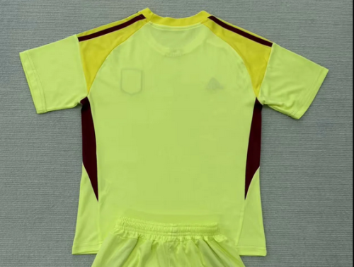 Fan Version 2025-2026 Aston Villa Yellow Goalkeeper Football Shirt Soccer Jersey