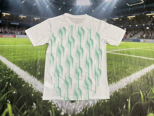 Fan Version 2025-2026 Palmeiras Green/White Soccer Training Jersey Football Shirt