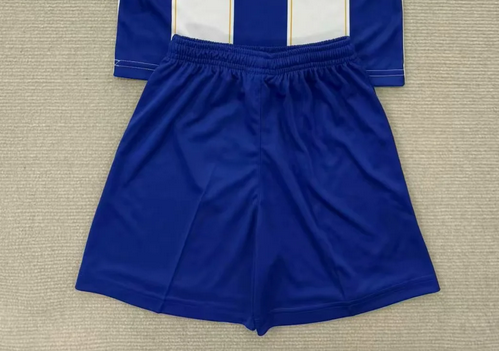 Fan Version 2025-2026 Pachuca Home Soccer Shorts Football Shorts