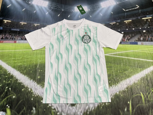Fan Version 2025-2026 Palmeiras Green/White Soccer Training Jersey Football Shirt