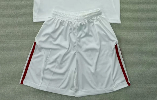 Fan Version 2025-2026 Benfica Third Away White Soccer Shorts Football Shorts