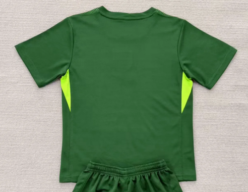 Fan Version 2025 England Green Goalkeeper Soccer Jersey Football Shirt