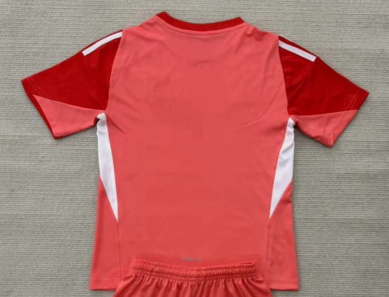 Maillot Juve Shirt Fans Version 2025-2026 Juventus Red Goalkeeper Soccer Jersey Football Shirt