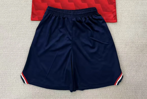 Fan Version 2025-2026 Lille Home Soccer Shorts Football Shorts
