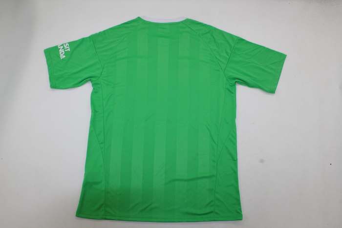 Fan Version Arsenal 2025-2026 Green Goalkeeper Soccer Jersey Football Shirt