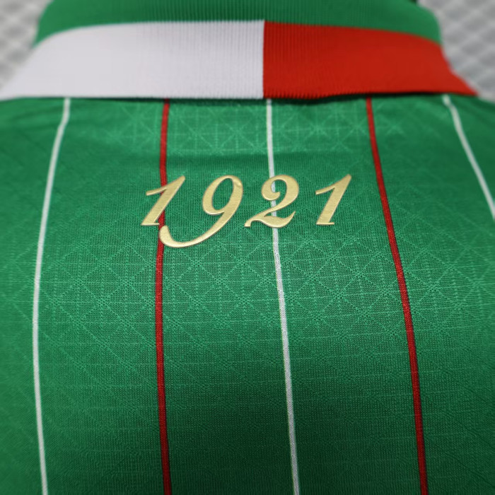 Player Version 2025 Palestine Green Special Edition Soccer Jersey FC Palestina Football Shirt