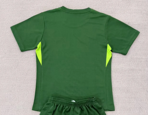 Fans Version 2025-2026 Chelsea Green Goalkeeper Soccer Jersey Football Shirt