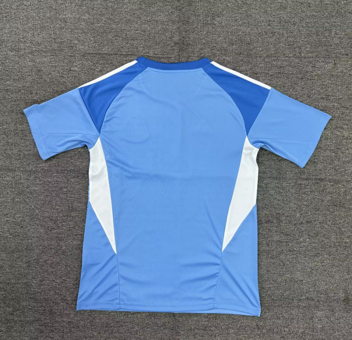 Fan Version 2025-2026 Newcastle United Blue Goalkeeper Soccer Jersey Football Shirt