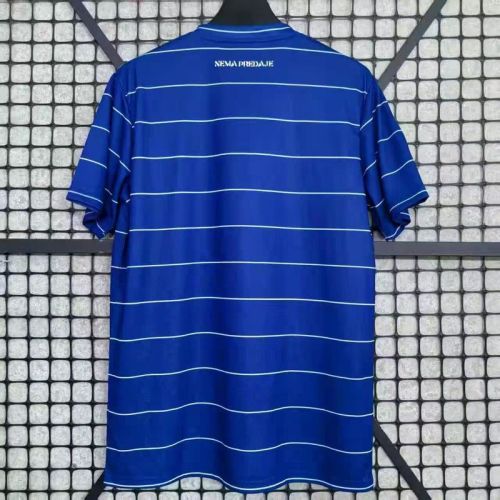 Fans Version 2025-2026 Dinamo Zagreb Home Soccer Jersey Football Shirt