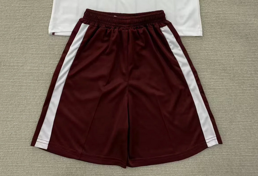 Fan Version 2025-2026 Heart of Midlothian Away Soccer Shorts Football Shorts