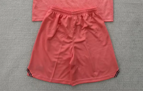 Fan Version 2025-2026 Porto Away Pink Soccer Shorts Football Shorts