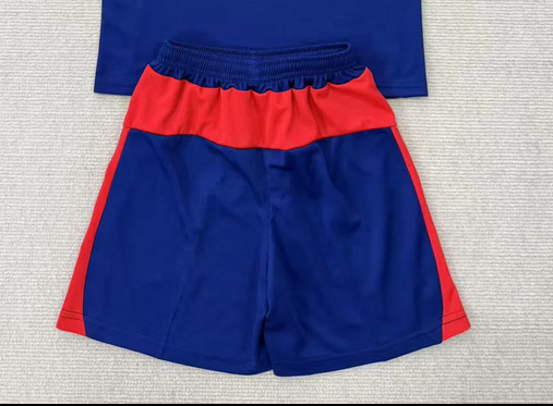 Fan Version 2025-2026 RB Leipzig Away Blue Soccer Shorts Football Shorts