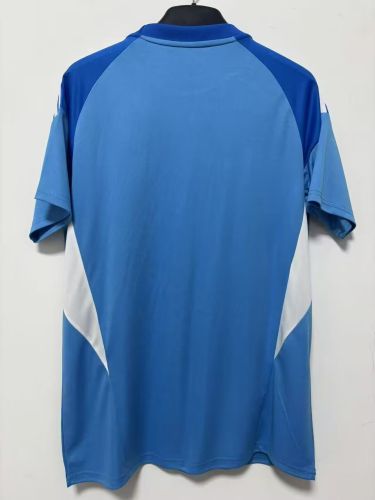 Fan Version 2025-2026 Leeds United Blue Goalkeeper Soccer Jersey Football Shirt