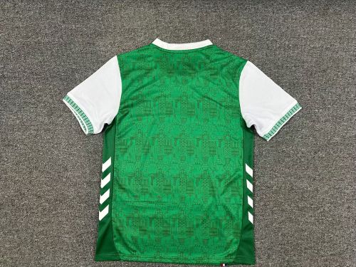 Fan Version 2025-2026 Saint-Étienne Home Soccer Jersey Football Shirt