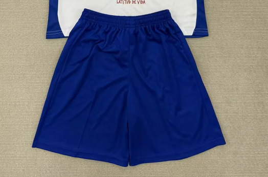 Fan Version 2025-2026 Tenerife Home Soccer Shorts Football Shorts