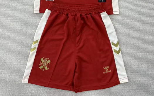 Fan Version 2025-2026 Tenerife Away Red Soccer Shorts Football Shorts