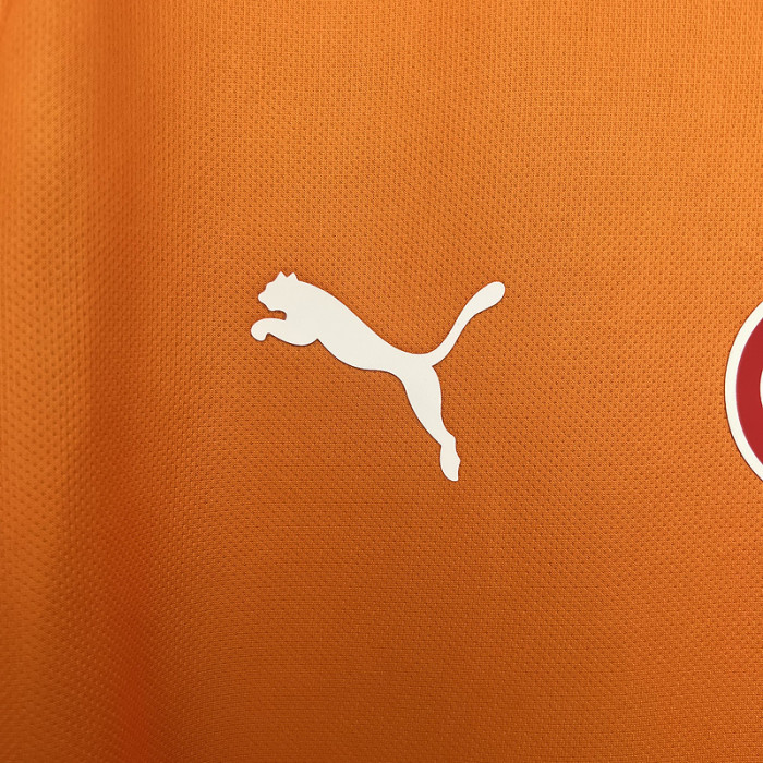 without Sponor Logo Fan Version 2025-2026 Galatasaray Home Soccer Jersey Football Shirt