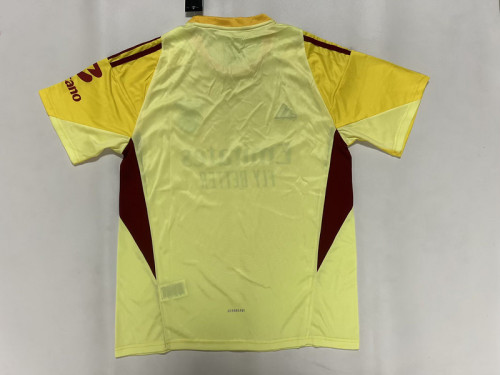 Fan Version 2025-2026 Benfica Yellow Goalkeeper Soccer Jersey Football Shirt